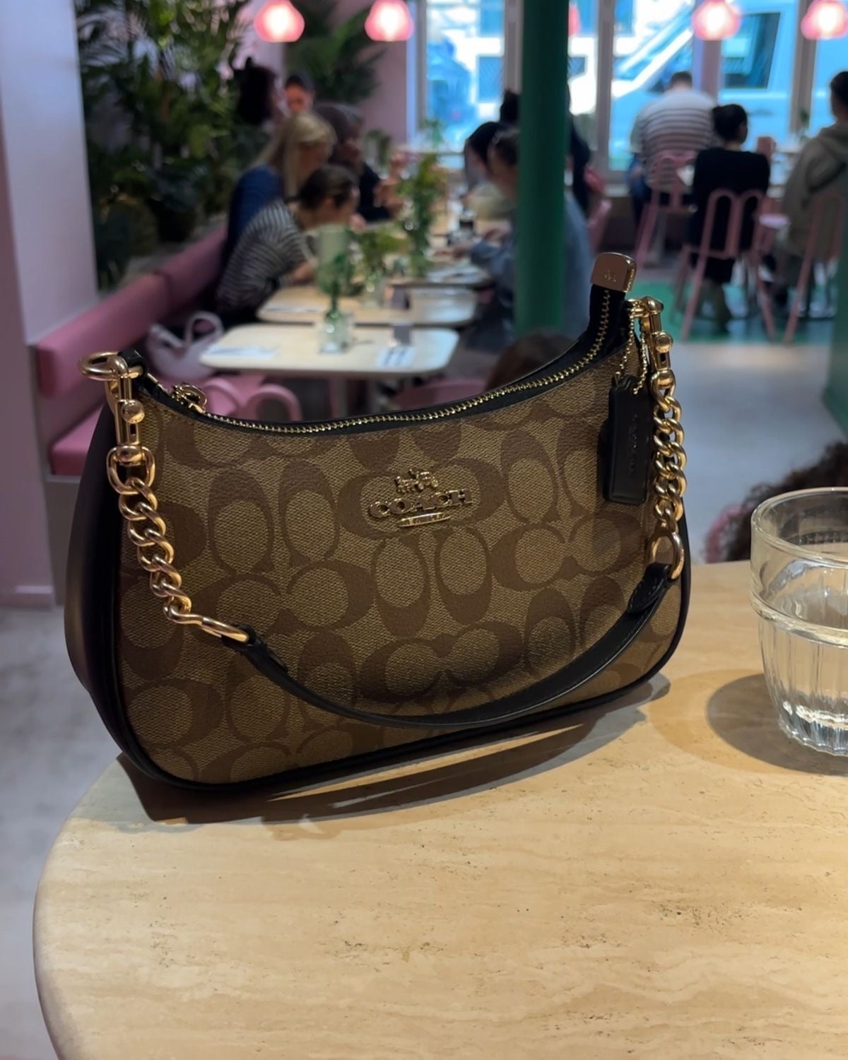 Coach Terri Shoulder bag with brand box-same as original