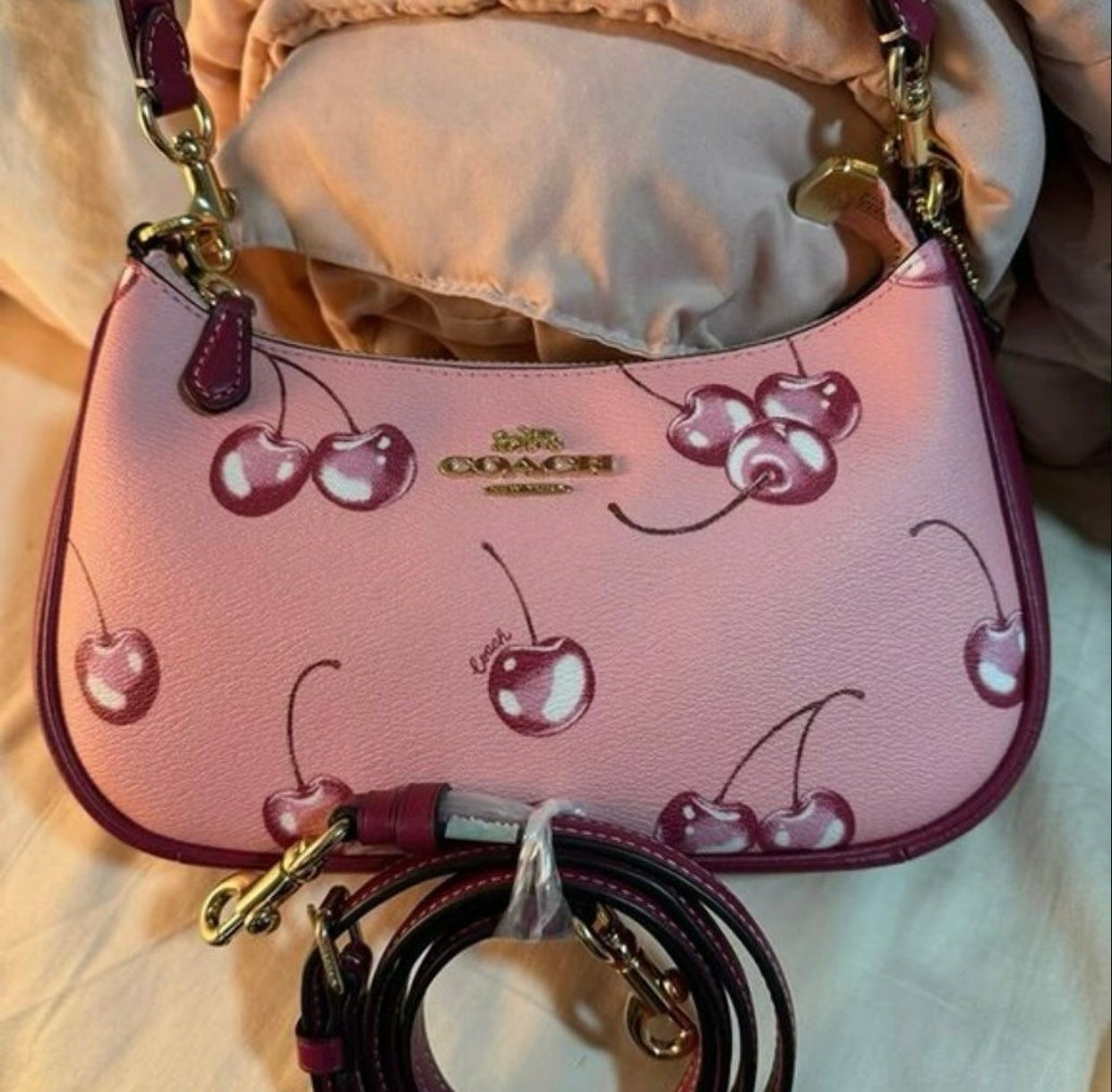 COACH Cherry Terri Handbag With Brand box