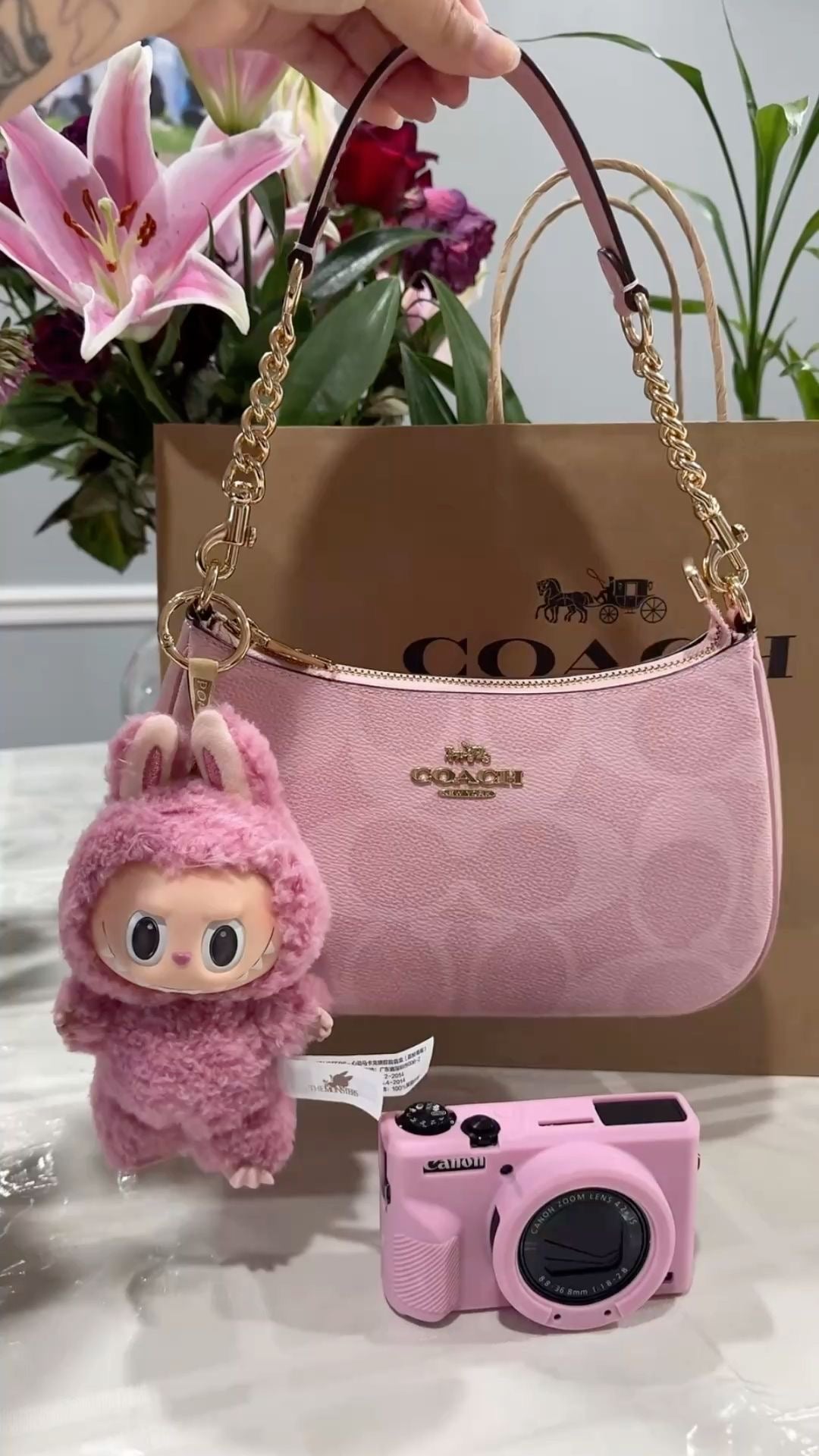 COACH Terri bag With Brand Box