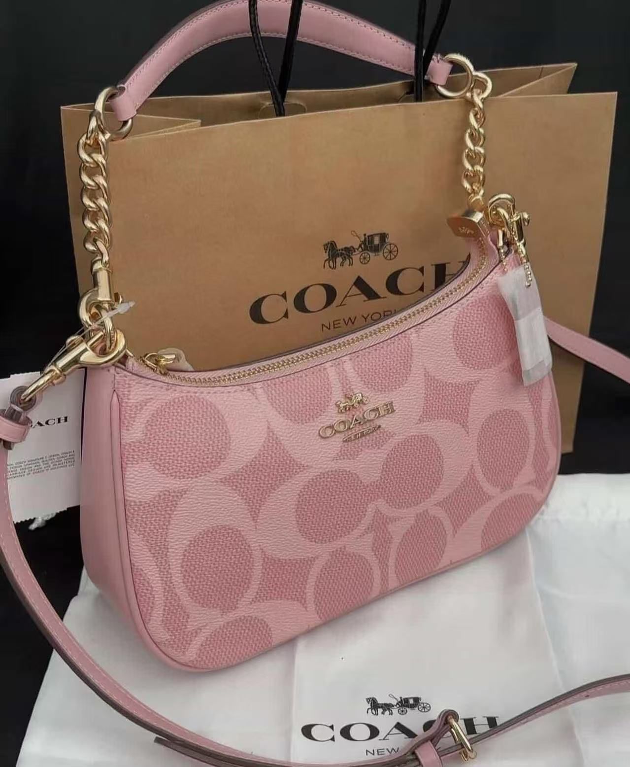 COACH Terri handbag with Brand Box