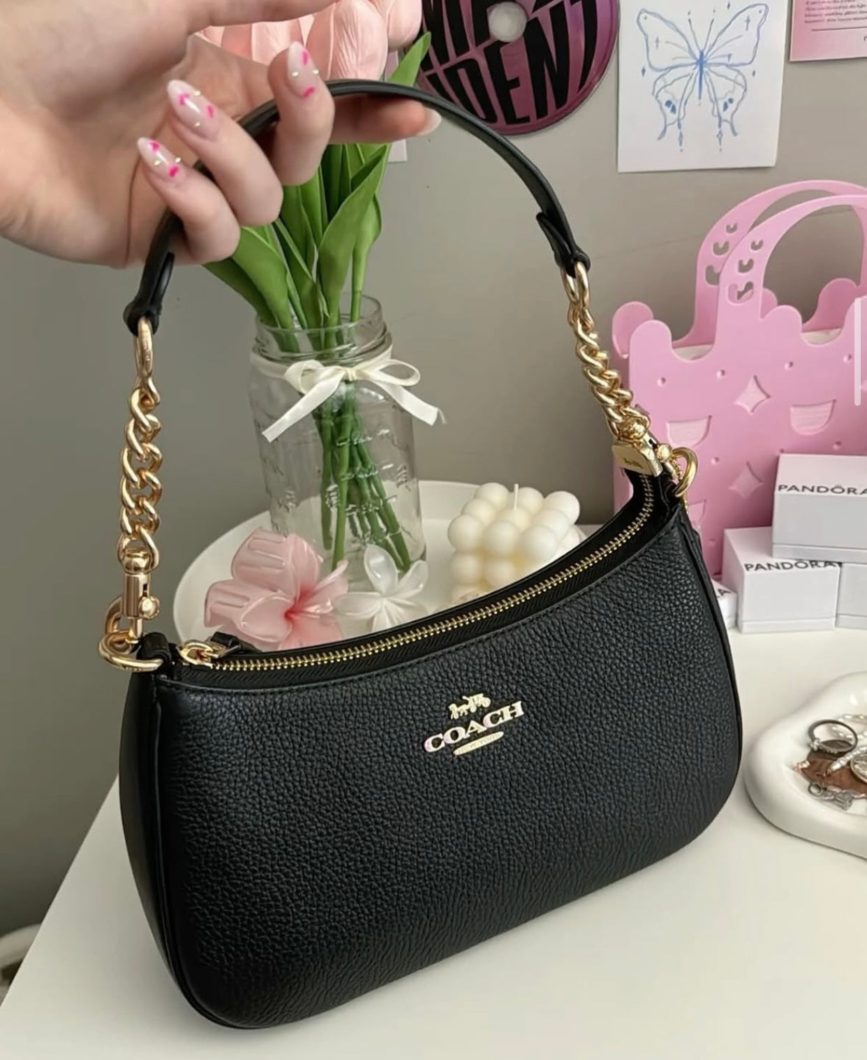 Imported COACH Teri Handbag with brand box