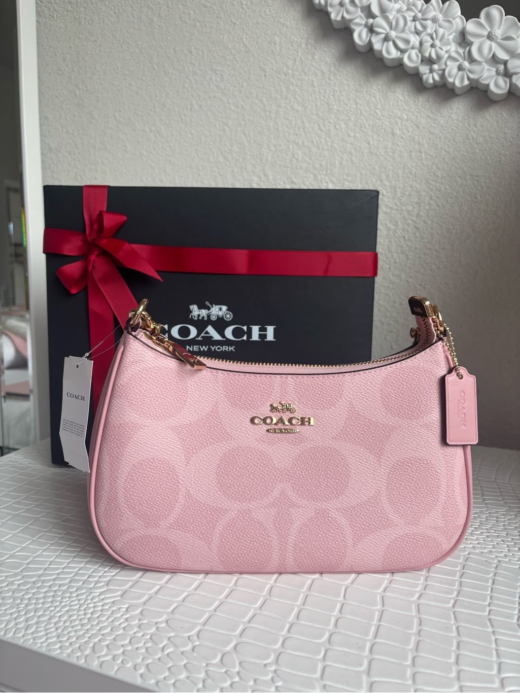Coach Terri Shoulder bag with brand box-same as original