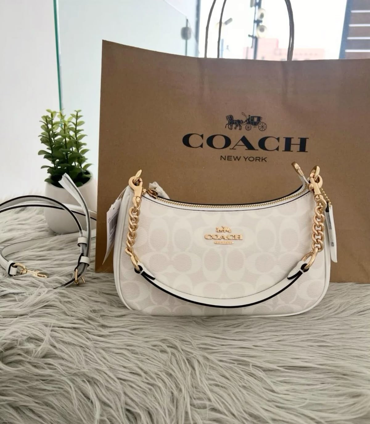 COACH Teri with brand box