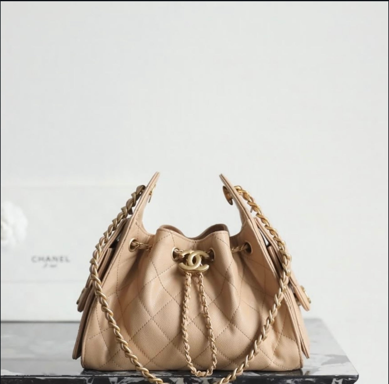 Chanel hobo 25 with premium packaging