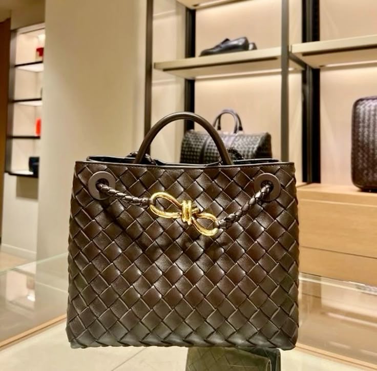 BOTTEGA VENETA BV Andioma Bag