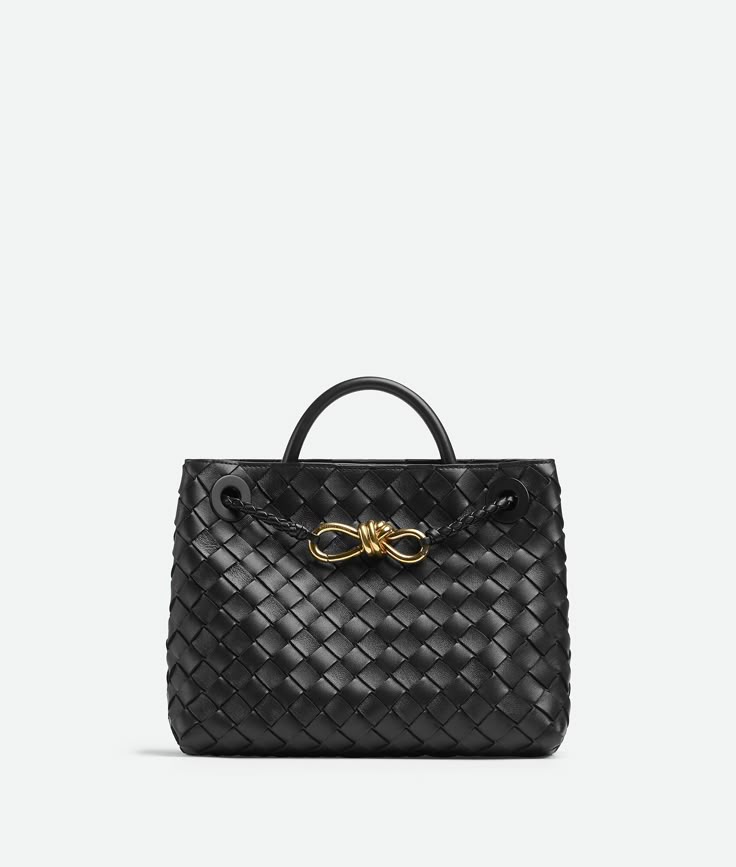 BOTTEGA VENETA BV Andioma Bag