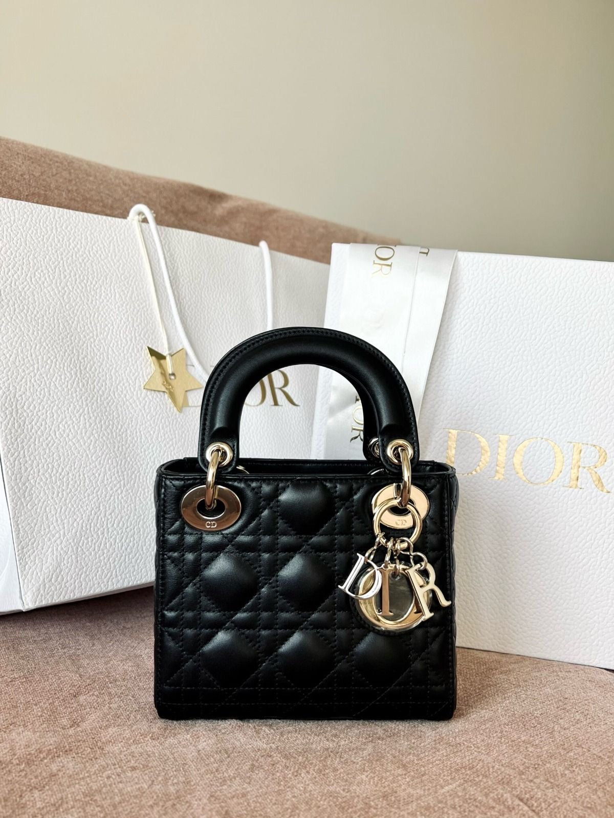 Lady Dior-small