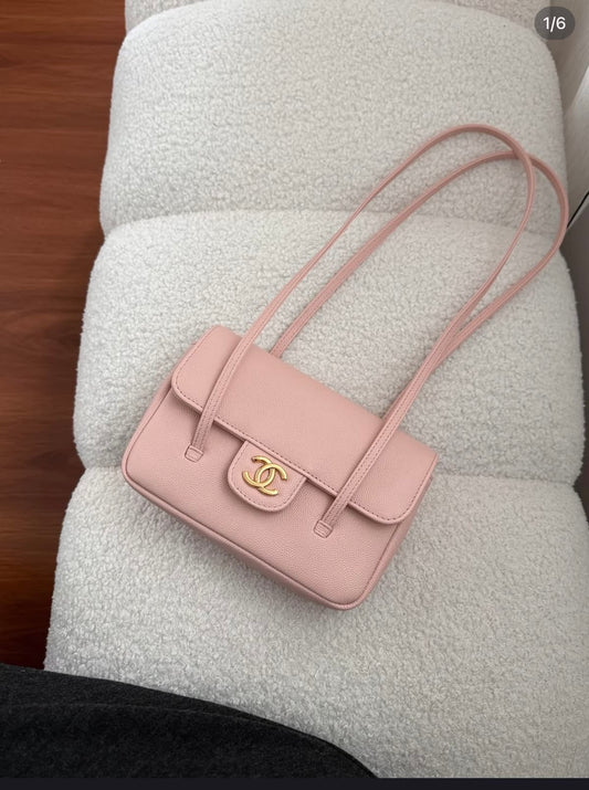 Chanel Small preppy with Brand box