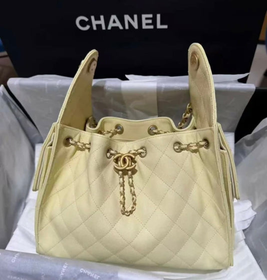CHANEL Hobo 25 with Complete Pakaging